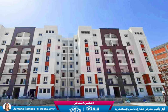 WhatsApp Image 2025-12-23 at 13.41.59