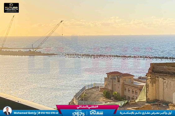 WhatsApp Image 2025-12-24 at 10.53.16