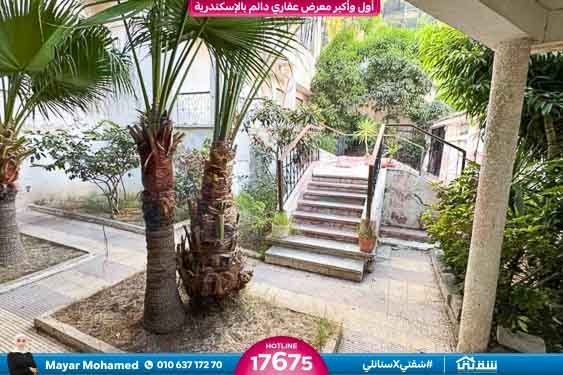 WhatsApp Image 2025-12-24 at 11.04.08 (1)