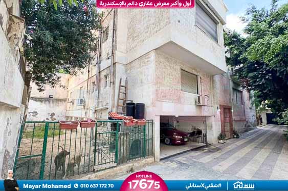 WhatsApp Image 2025-12-24 at 11.04.09 (1)