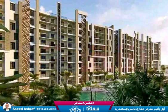 WhatsApp Image 2025-12-24 at 13.28.54 (1)