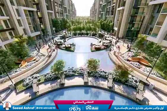 WhatsApp Image 2025-12-24 at 13.28.54