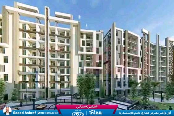 WhatsApp Image 2025-12-24 at 13.28.55