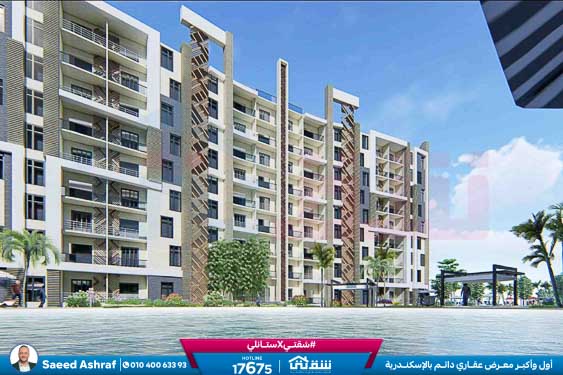 WhatsApp Image 2025-12-24 at 13.28.57 (1)