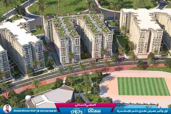 WhatsApp Image 2025-12-25 at 1.39.39 PM (1)