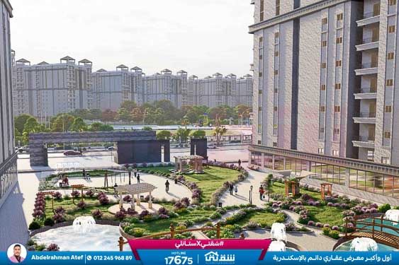 WhatsApp Image 2025-12-25 at 1.39.40 PM (1)