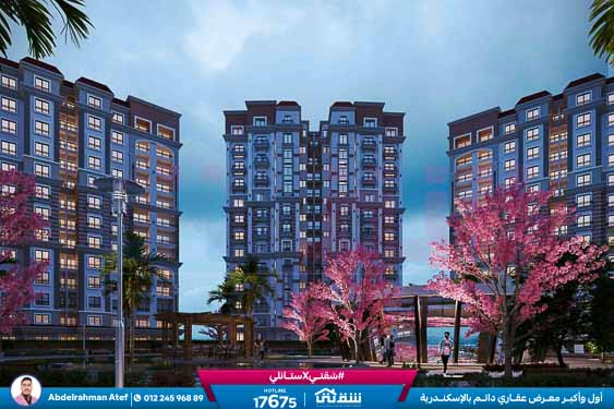 WhatsApp Image 2025-12-25 at 1.44.17 PM (1)