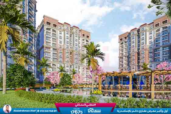 WhatsApp Image 2025-12-25 at 1.44.17 PM