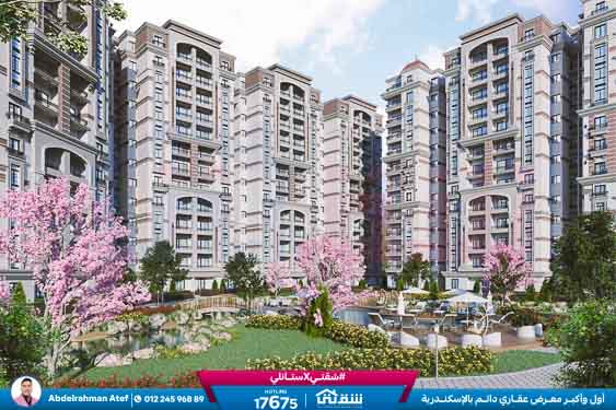 WhatsApp Image 2025-12-25 at 1.44.20 PM