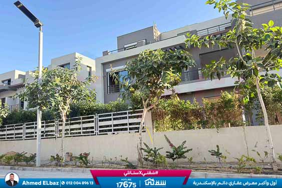 WhatsApp Image 2025-12-25 at 15.14.31 (1)