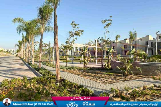 WhatsApp Image 2025-12-25 at 15.14.31 (2)