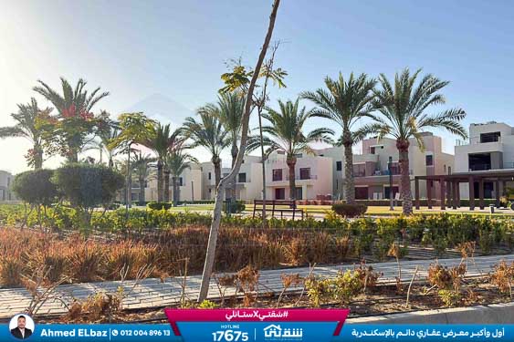 WhatsApp Image 2025-12-25 at 15.14.31