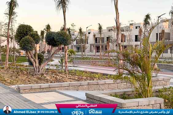 WhatsApp Image 2025-12-25 at 15.14.47