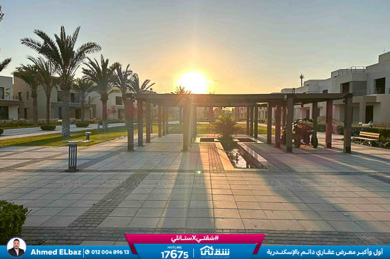 WhatsApp Image 2025-12-25 at 15.14.49