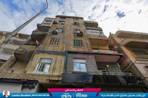 WhatsApp Image 2025-12-25 at 15.22.26 (1)