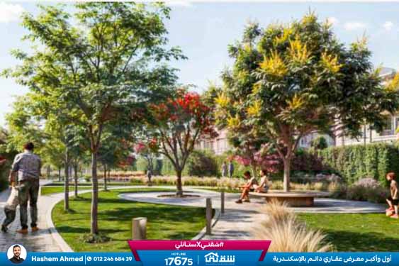 WhatsApp Image 2025-12-28 at 14.27.49