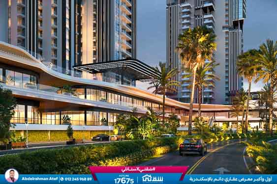 WhatsApp Image 2025-12-29 at 15.57.08