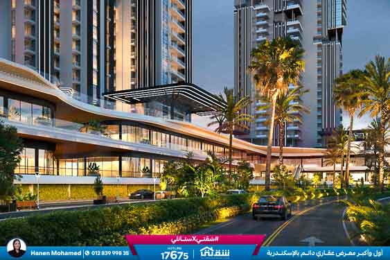 WhatsApp Image 2025-12-29 at 15.57.08