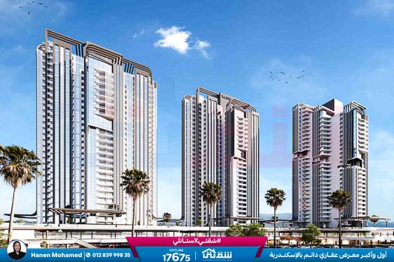 WhatsApp Image 2025-12-29 at 15.57.10 (1)