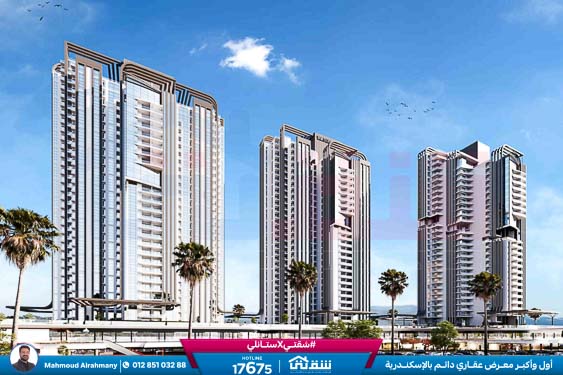 WhatsApp Image 2025-12-29 at 15.57.10 (1)