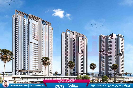 WhatsApp Image 2025-12-29 at 15.57.12 (1)