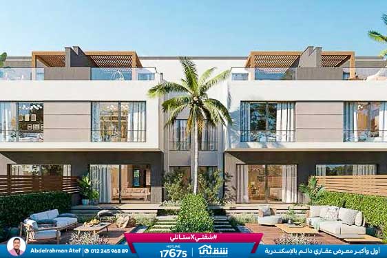 WhatsApp Image 2025-12-29 at 16.37.55