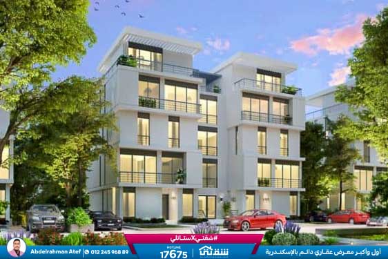 WhatsApp Image 2025-12-29 at 16.37.58