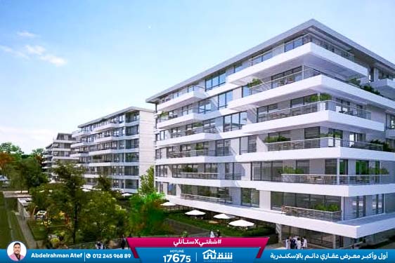 WhatsApp Image 2025-12-29 at 16.37.59