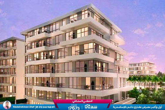 WhatsApp Image 2025-12-29 at 16.38.00