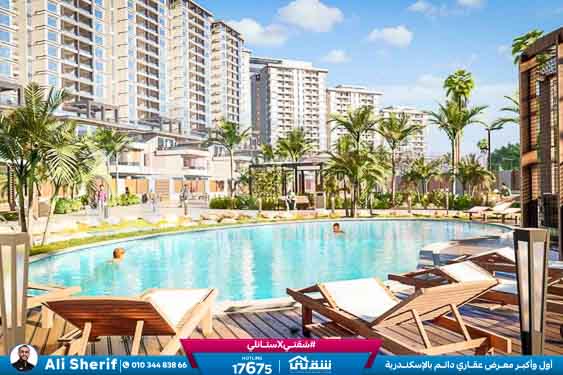 WhatsApp Image 2025-12-30 at 11.45.15