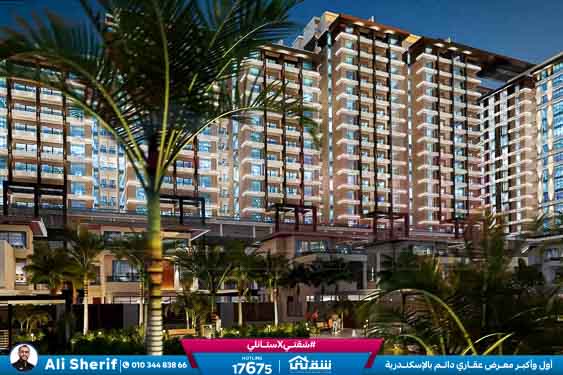 WhatsApp Image 2025-12-30 at 11.45.16 (2)