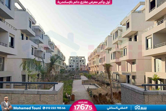 WhatsApp Image 2025-12-30 at 12.25.42 (1)