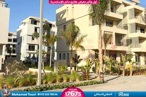 WhatsApp Image 2025-12-30 at 12.25.44