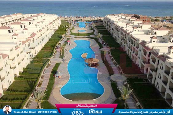 WhatsApp Image 2025-12-30 at 13.50.50 (1)