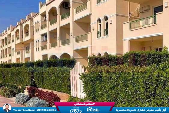 WhatsApp Image 2025-12-30 at 13.50.50 (2)