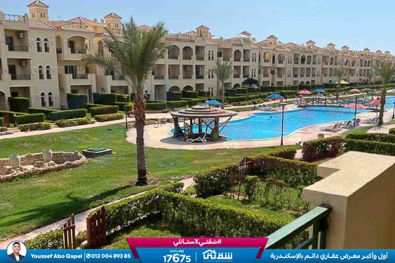 WhatsApp Image 2025-12-30 at 13.50.51 (1)