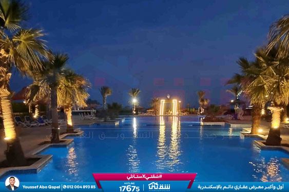 WhatsApp Image 2025-12-30 at 13.50.51