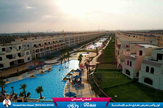 WhatsApp Image 2025-12-30 at 13.50.52 (1)