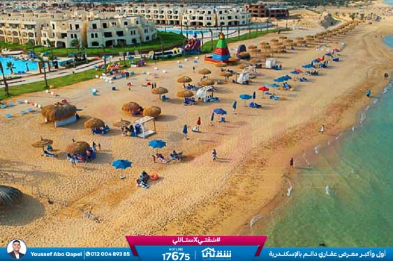 WhatsApp Image 2025-12-30 at 13.50.53