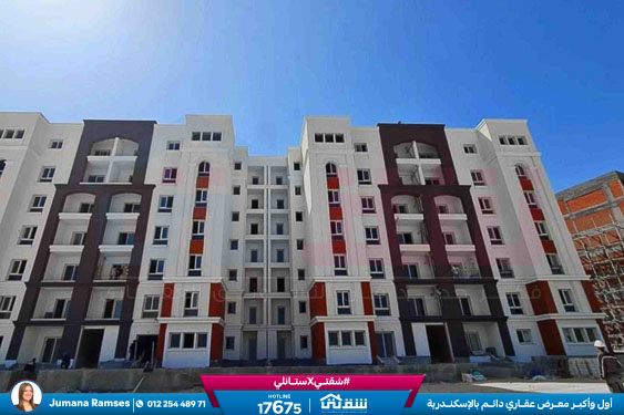 WhatsApp Image 2025-12-30 at 16.14.17 (1)