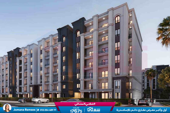 WhatsApp Image 2025-12-30 at 16.14.18