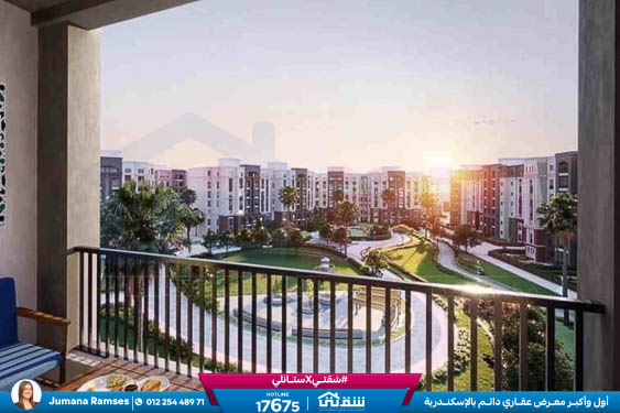 WhatsApp Image 2025-12-30 at 16.14.21