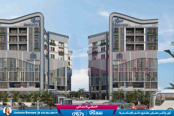 WhatsApp Image 2025-12-30 at 16.15.13 (1)