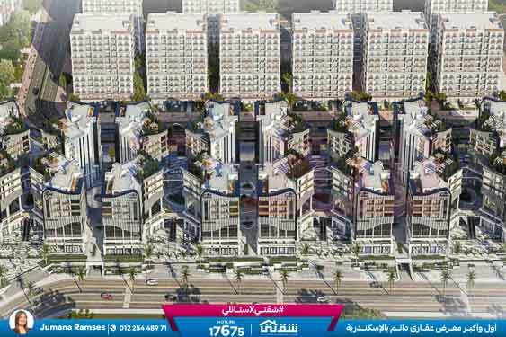 WhatsApp Image 2025-12-30 at 16.15.13