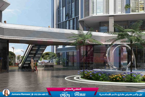 WhatsApp Image 2025-12-30 at 16.15.14 (1)