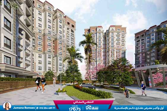 WhatsApp Image 2025-12-30 at 16.57.18 (1)