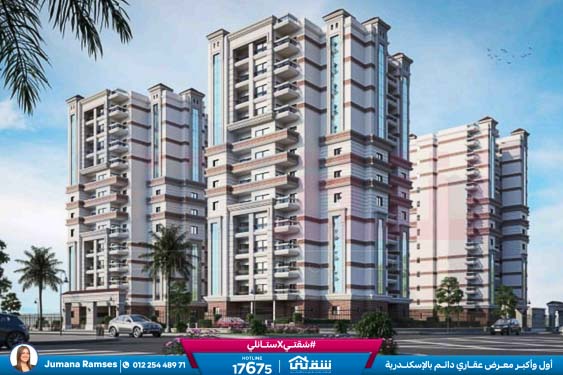 WhatsApp Image 2025-12-30 at 16.57.19 (1)