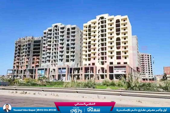 WhatsApp Image 2025-12-30 at 5.31.49 PM (1)