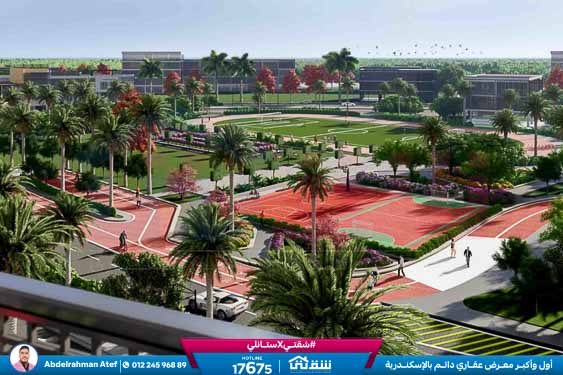 WhatsApp Image 2025-12-30 at 5.54.48 PM (1)