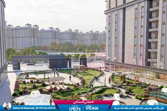 WhatsApp Image 2025-12-30 at 5.55.33 PM (1)